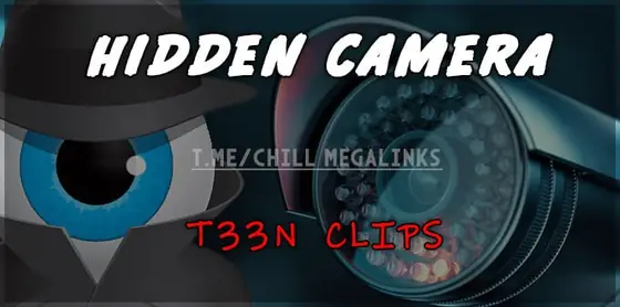 Hidden T33N Cam Clips - Hi